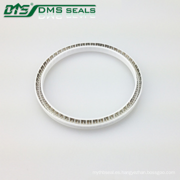 DMS Auto Pump Energized PTFE Rubber Hydraulic Spring Seals